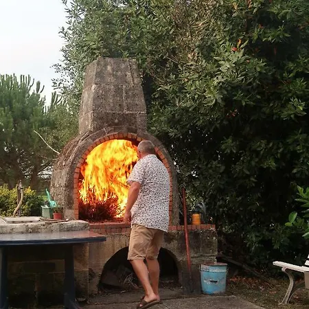 Bed & Breakfast L'orangerie De La Pontete Vayres (Gironde)
